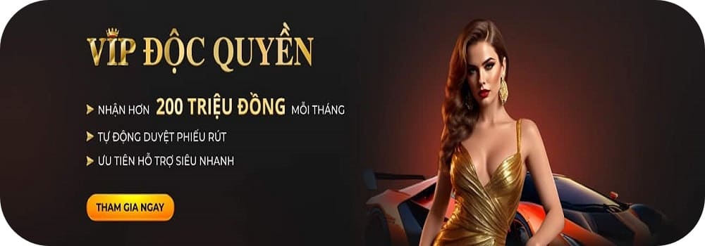 SV33688-nạp rút